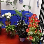 Puerta Sevilla Parking Gratis Lejlighed