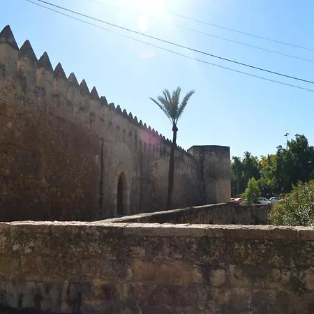 Puerta Sevilla Parking Gratis 公寓 *