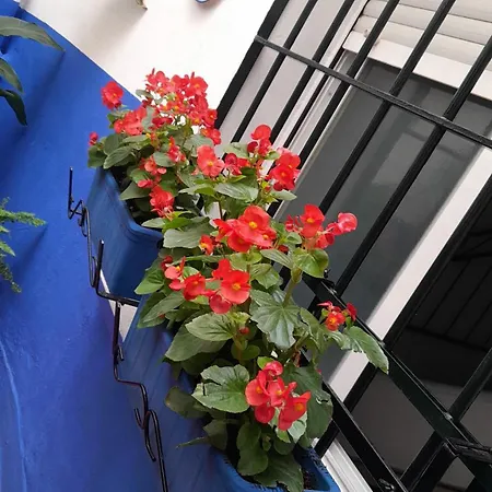 Puerta Sevilla Parking Gratis Apartment Cordoba